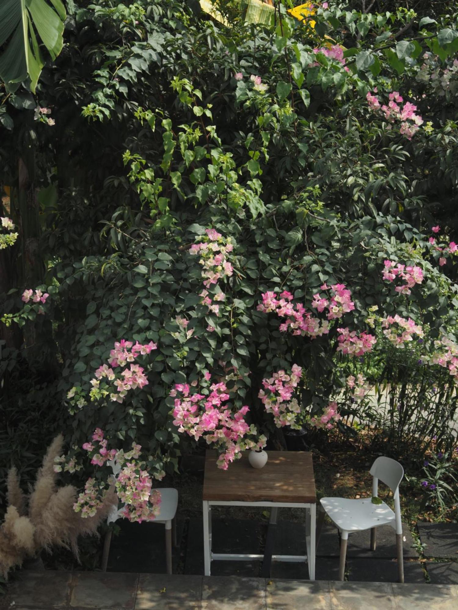 Yangshuo Hillside Homestay Экстерьер фото