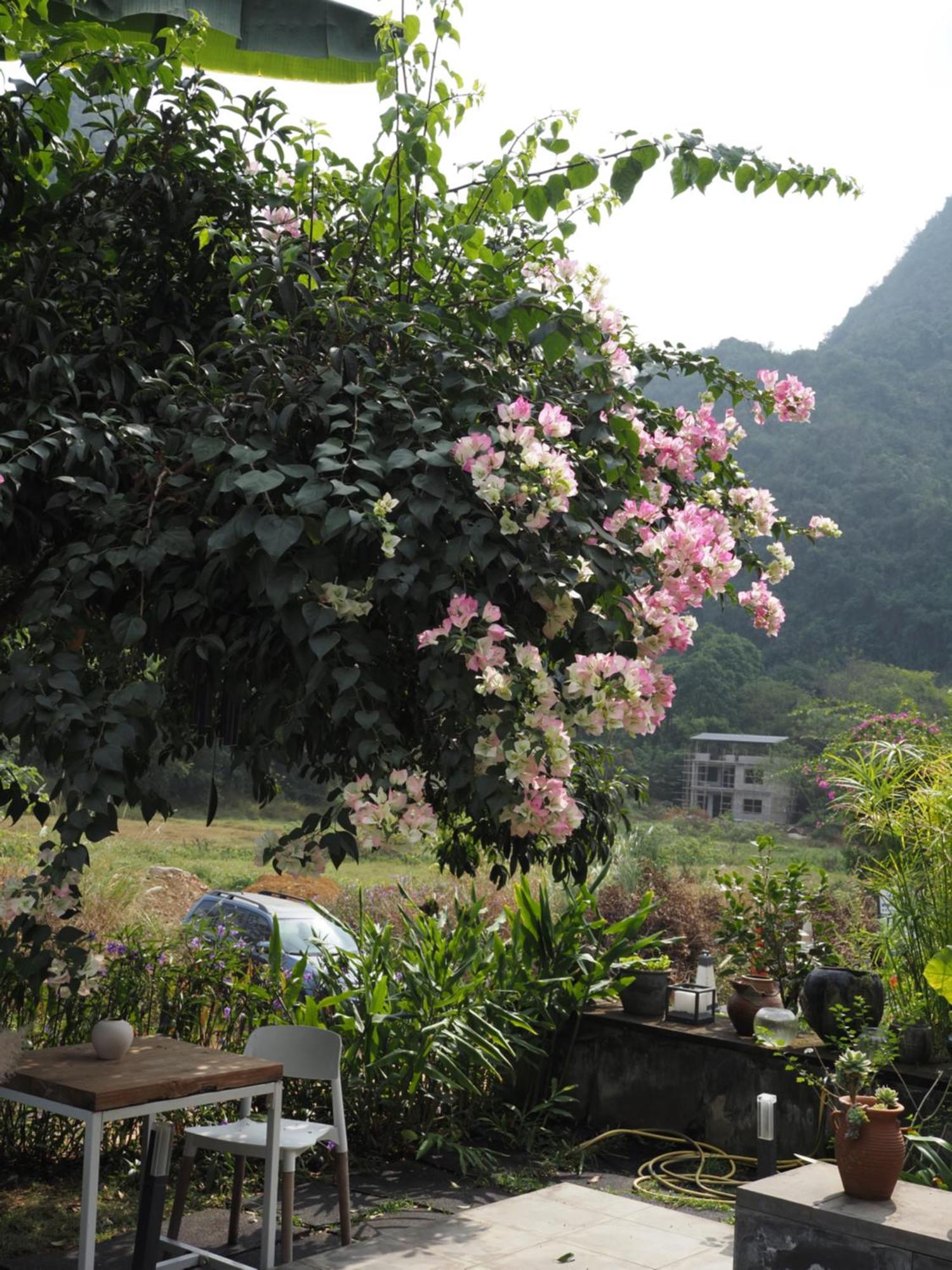Yangshuo Hillside Homestay Экстерьер фото