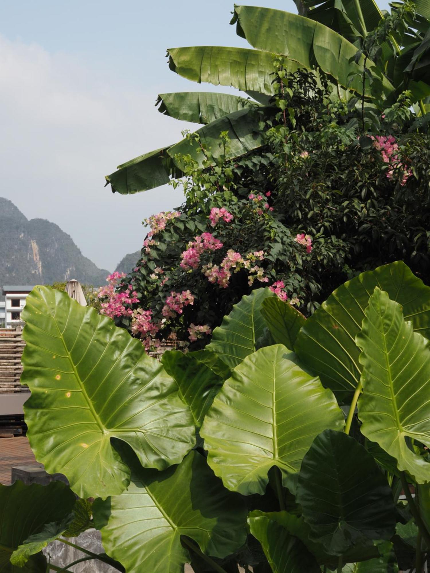 Yangshuo Hillside Homestay Экстерьер фото