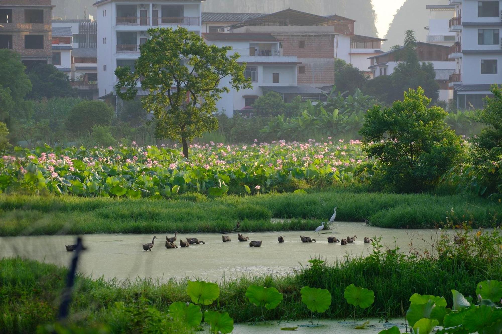 Yangshuo Hillside Homestay Экстерьер фото