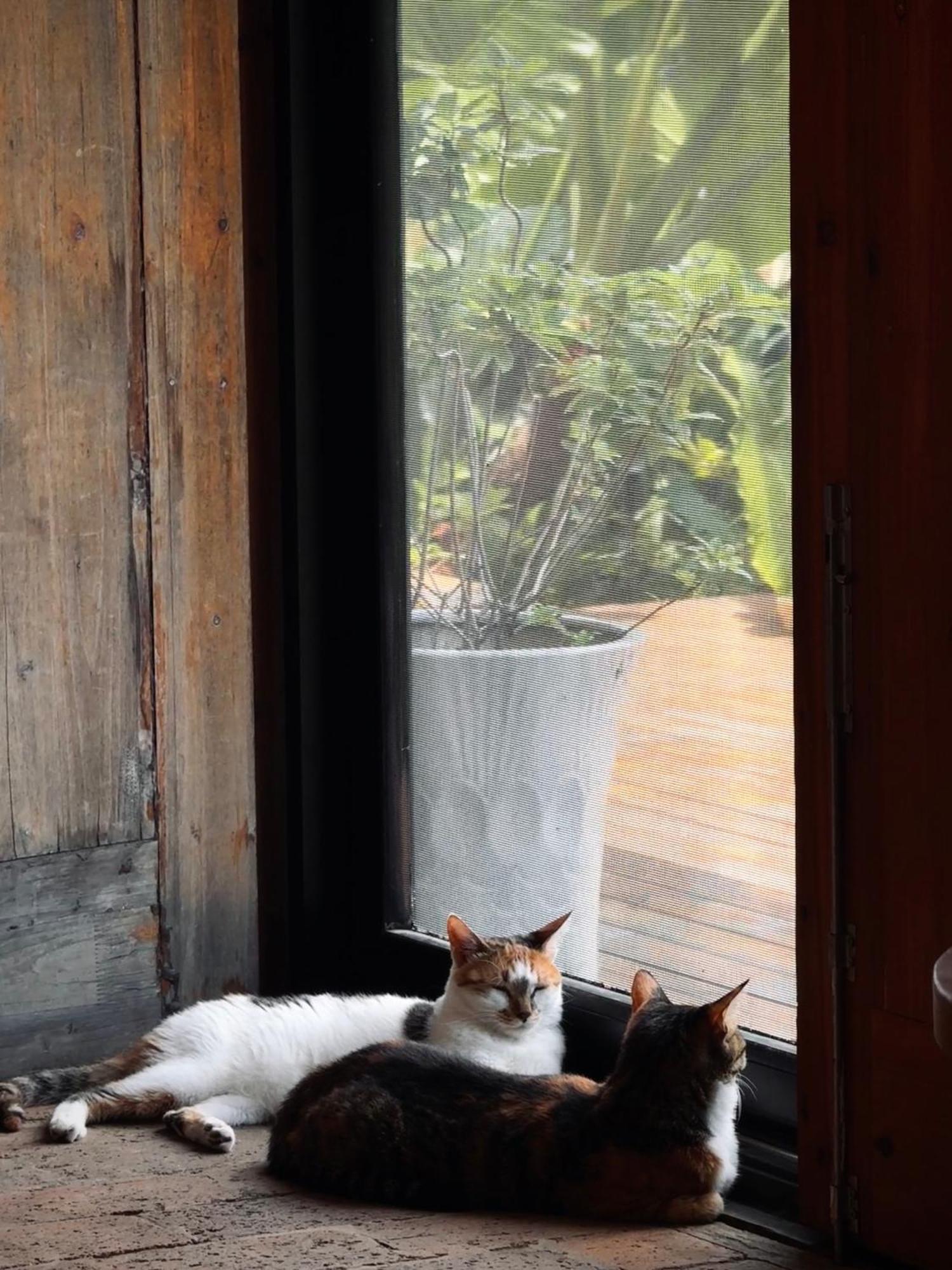 Yangshuo Hillside Homestay Экстерьер фото