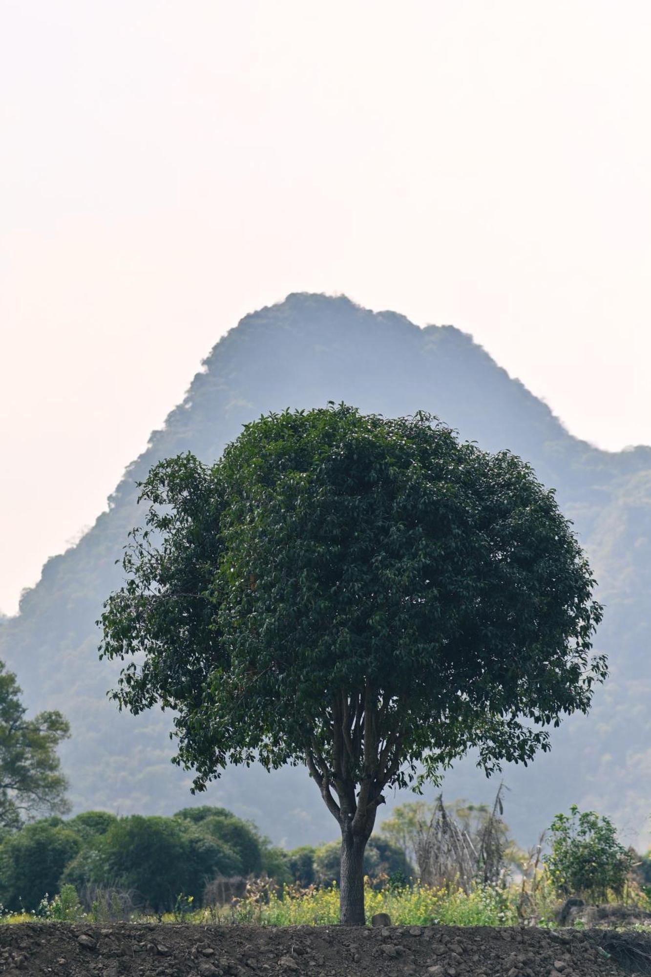 Yangshuo Hillside Homestay Экстерьер фото
