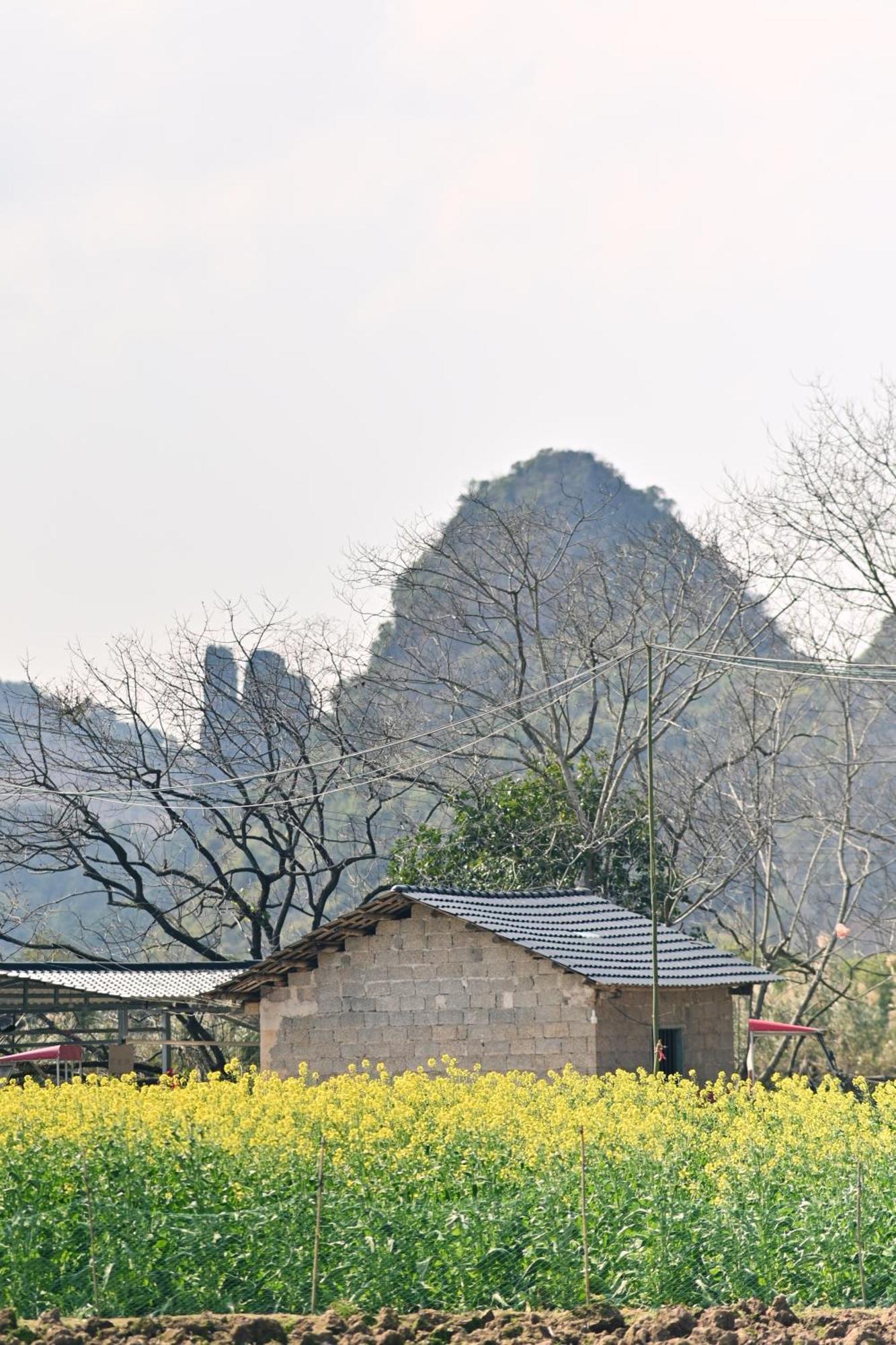 Yangshuo Hillside Homestay Экстерьер фото